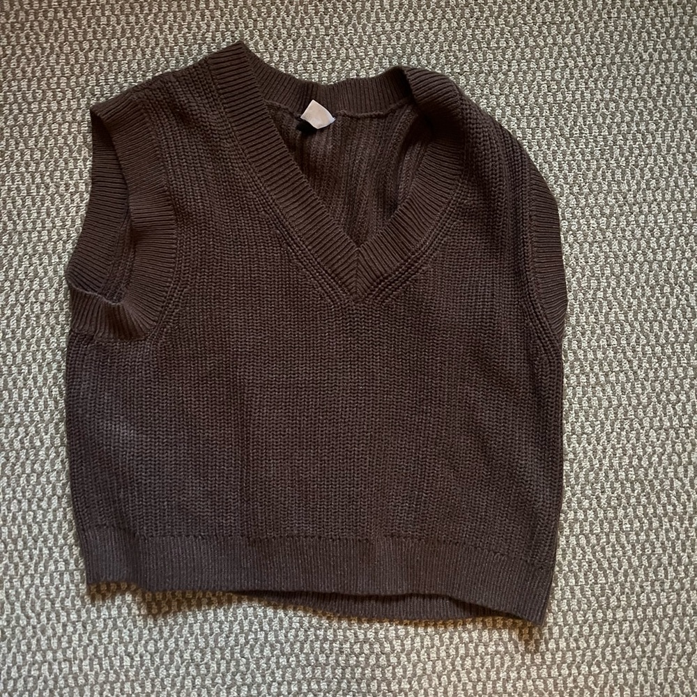 Brown sweater vest